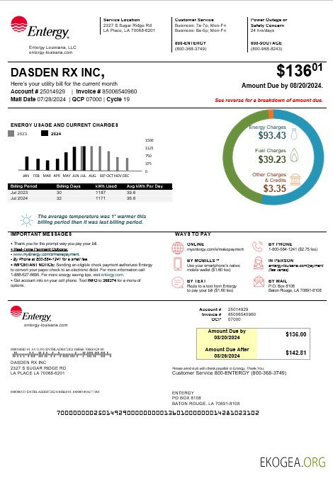 Modèle de facture de services publics d'entreprise USA Louisiane Entergy aux formats Word et PDF, version 2